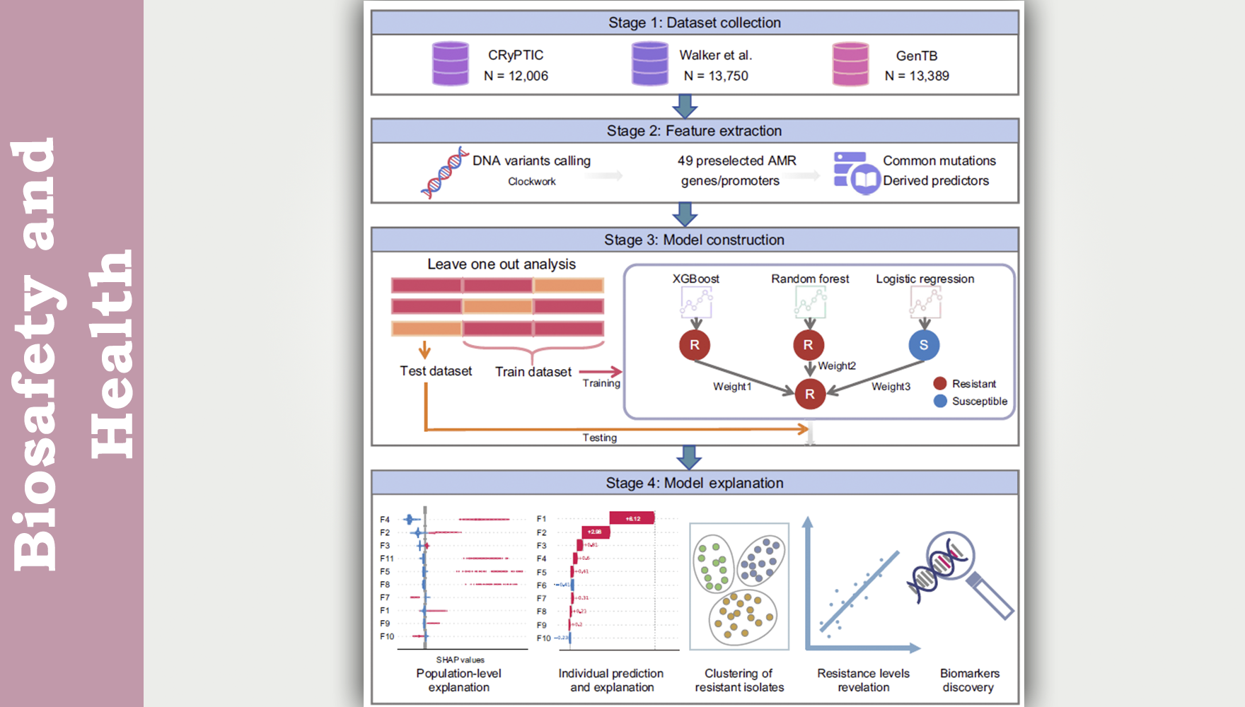 營(yíng)養(yǎng)與健康所生物醫(yī)學(xué)大數(shù)據(jù)中心開(kāi)發(fā)可解釋性結(jié)核耐藥分析模型